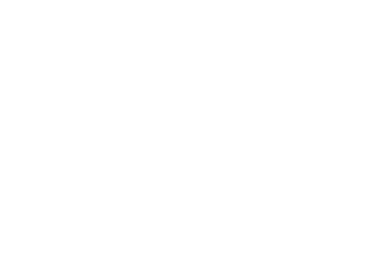 SETOUCHI FISHING TOURS